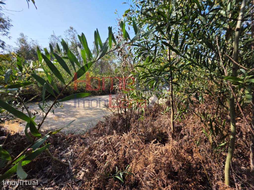 Terreno na zona industrial de Albergaria-a-Velha-12