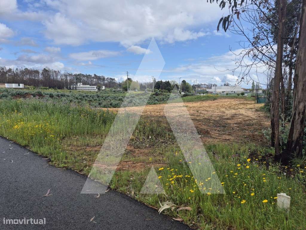 Terreno para construção de moradia na Branca - Grande imagem: 4/22