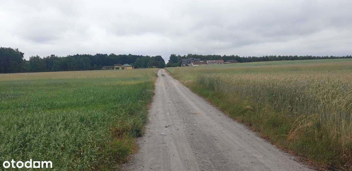 Działka, 1 041 m², Wola Pasikońska-3