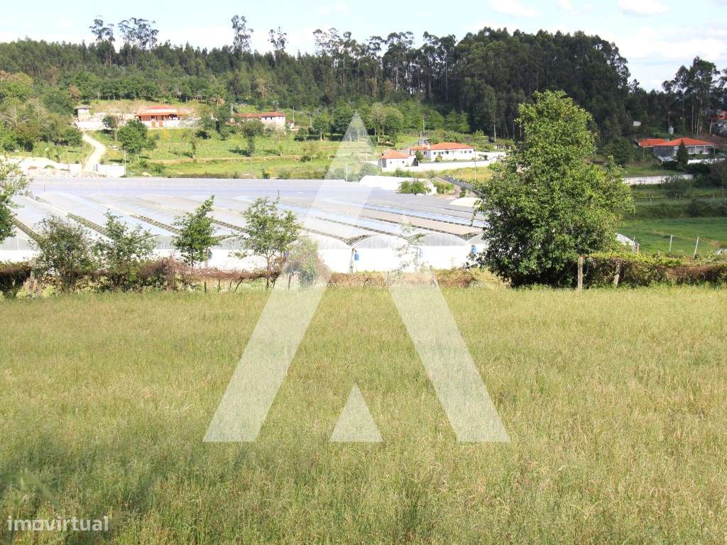 Quinta T6 histórica para recuperação, Guimarães.-30