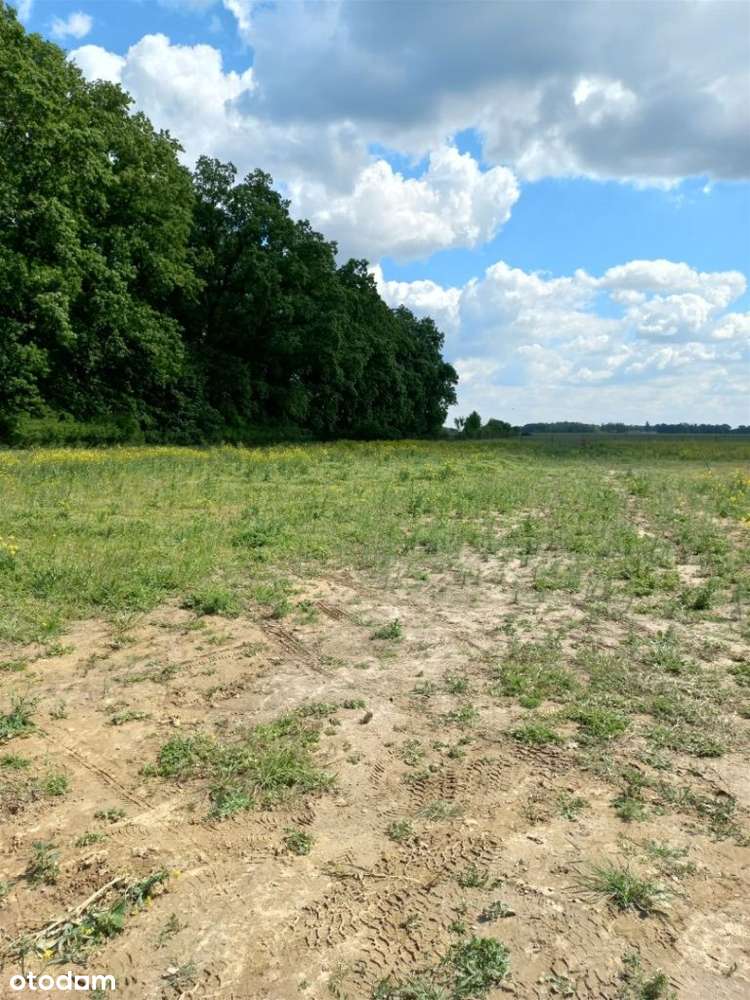 Działka Przecław - Pełny obrazek: 4/6