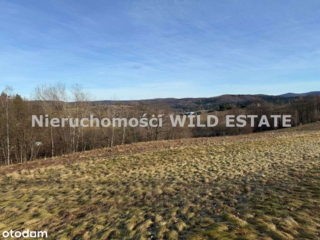 Działka, 3 402 m², Berezka-1