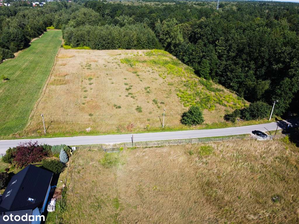 Działka inwestycyjna Wacyn ul. Spacerowa  12011 m² - Pełny obrazek: 5/13