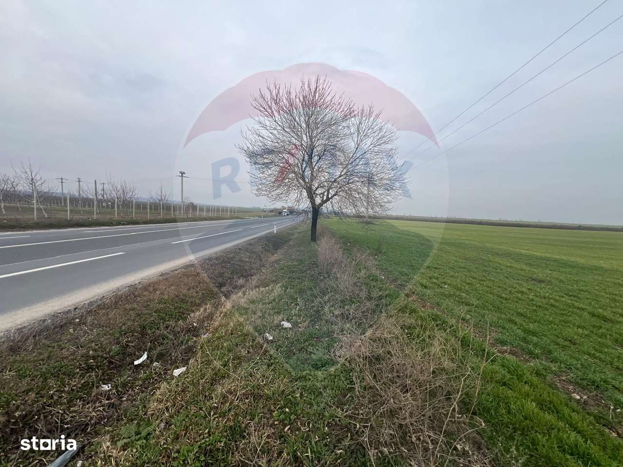 Teren 13,300mp Podgoria / DN E85 - Imagine principală: 2/5