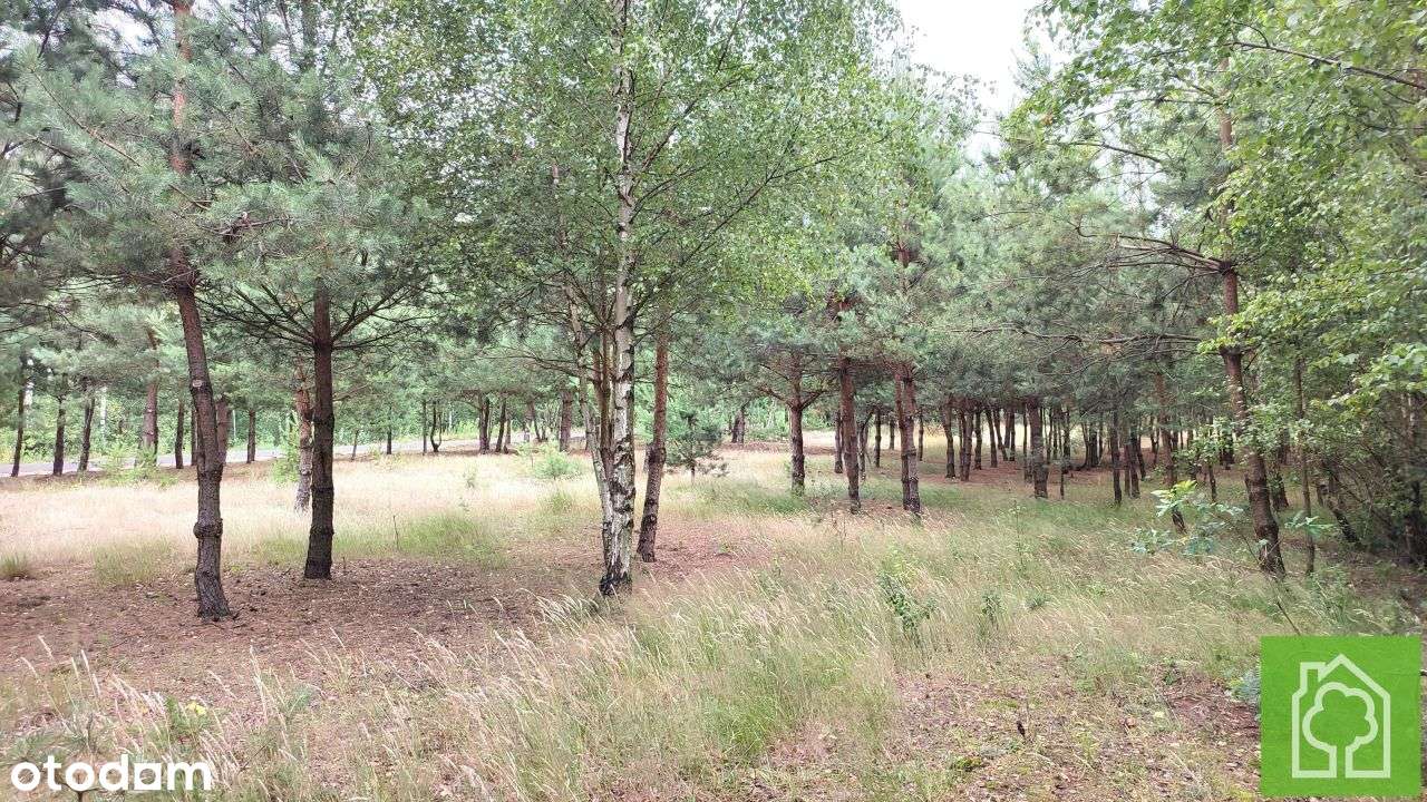 Działka, 1 008 m², Skudzawy - Pełny obrazek: 3/18