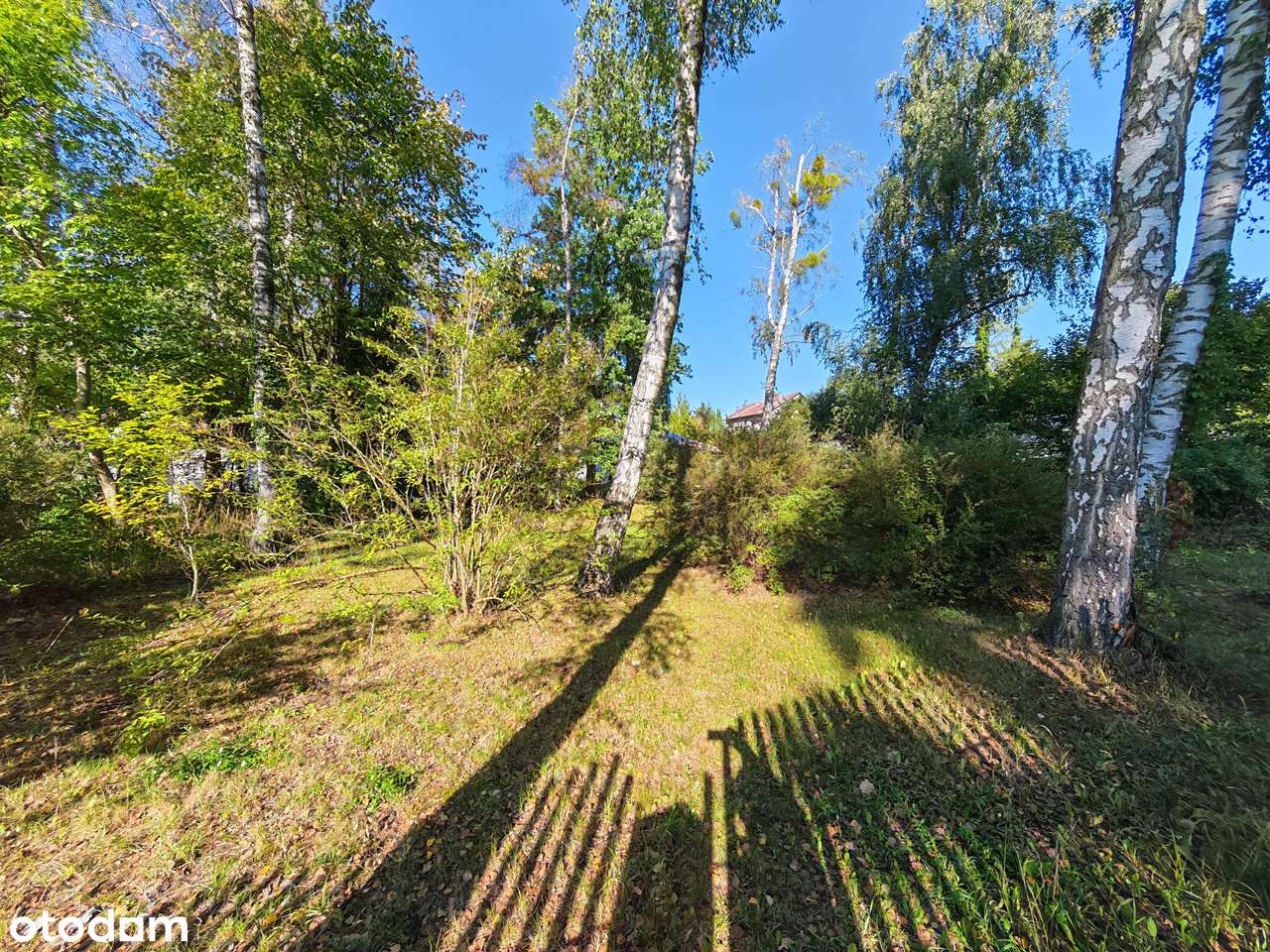 Duża zadrzewiona działka, salon wysoki na 6 metrów!-12