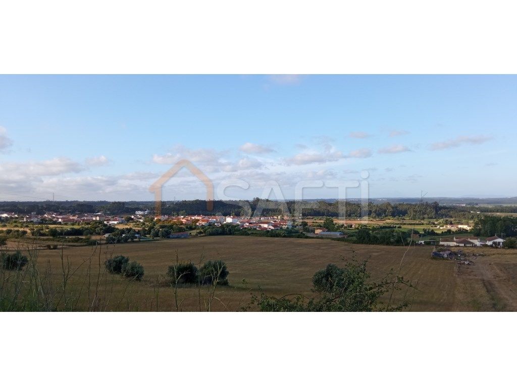 Quinta de 8Ha para venda, Maiorca, Figueira da Foz