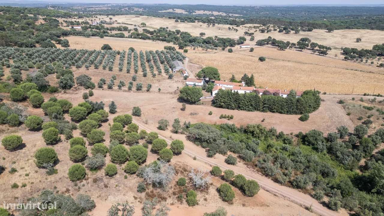 Herdade 4.0 ha, Álcacer do Sal, Alcacer do Sal-38