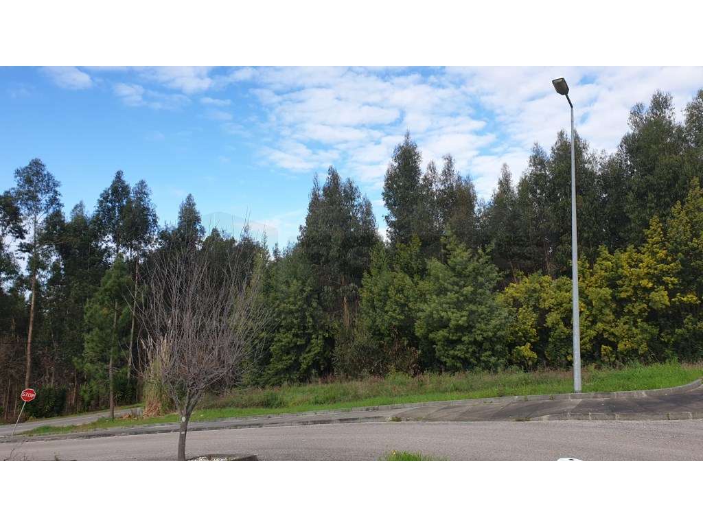 Terreno para venda Águeda - Grande imagem: 5/12