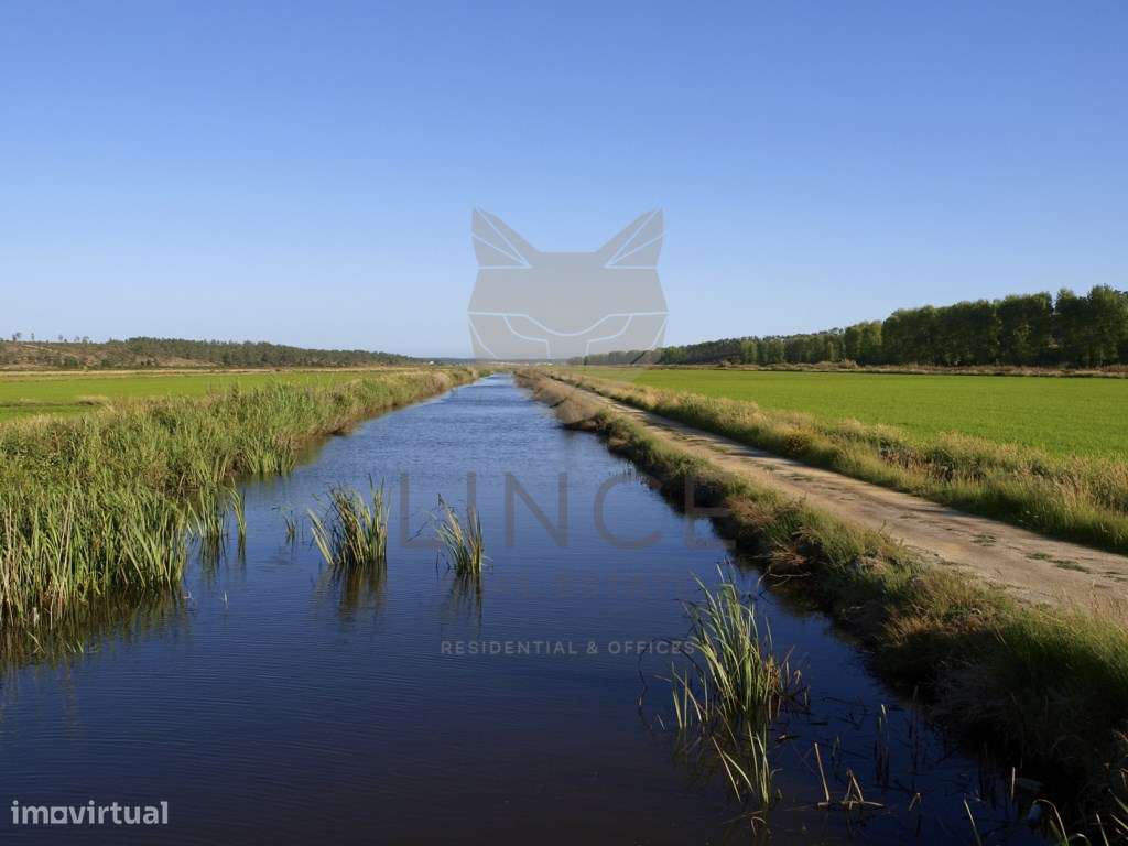 Lote de terreno com projecto para moradia V6 Brejos da Carregueira ... - Grande imagem: 4/14