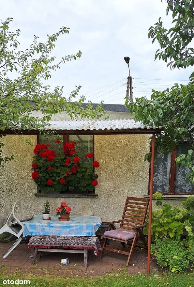 ROD RELAKS - Szwederowo - Pełny obrazek: 2/6