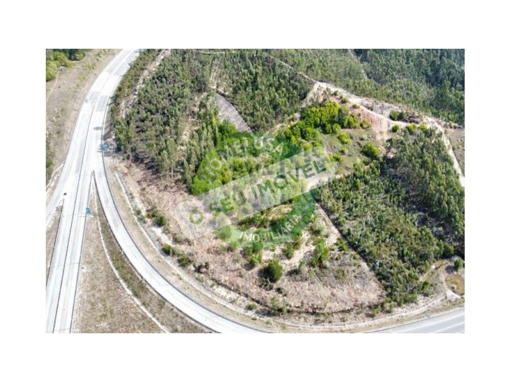 Terreno Rústico à saída da A14 - Grande imagem: 5/6