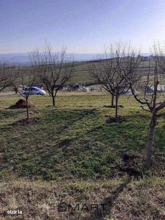 Teren intravila Sura Mare 550mp - Imagine principală: 3/3