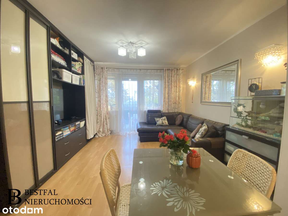 2 pokoje na parterze z ogródkiem-2