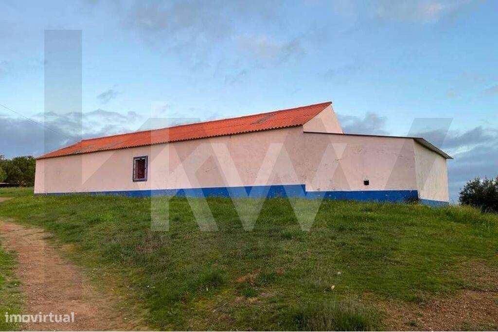 Terreno  com 13 hectares em Santiago do Cacém - Grande imagem: 4/13