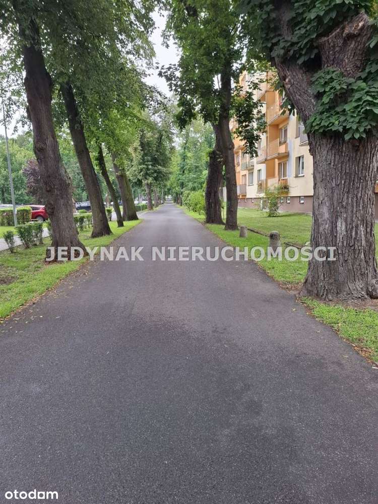 Mieszkanie, 65,40 m², Potulice-10