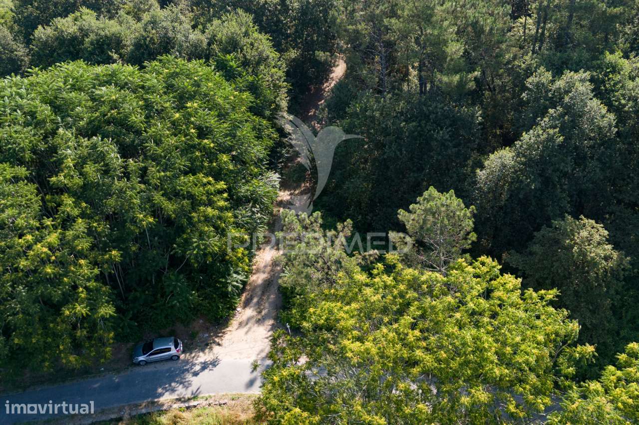 Terreno - Grande imagem: 5/11