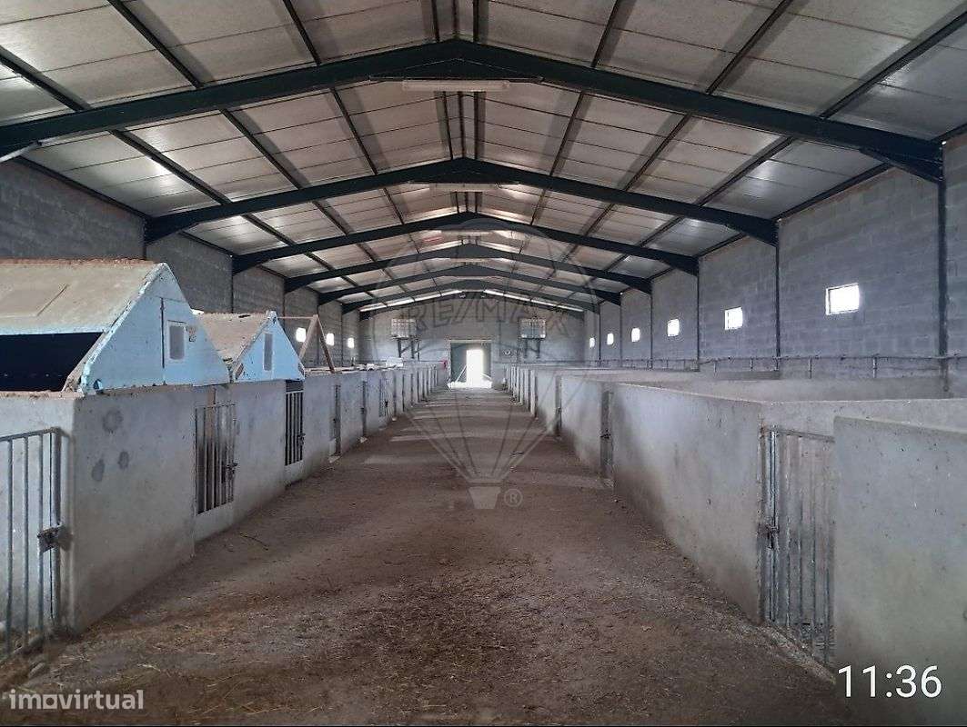 Armazém  para venda-6