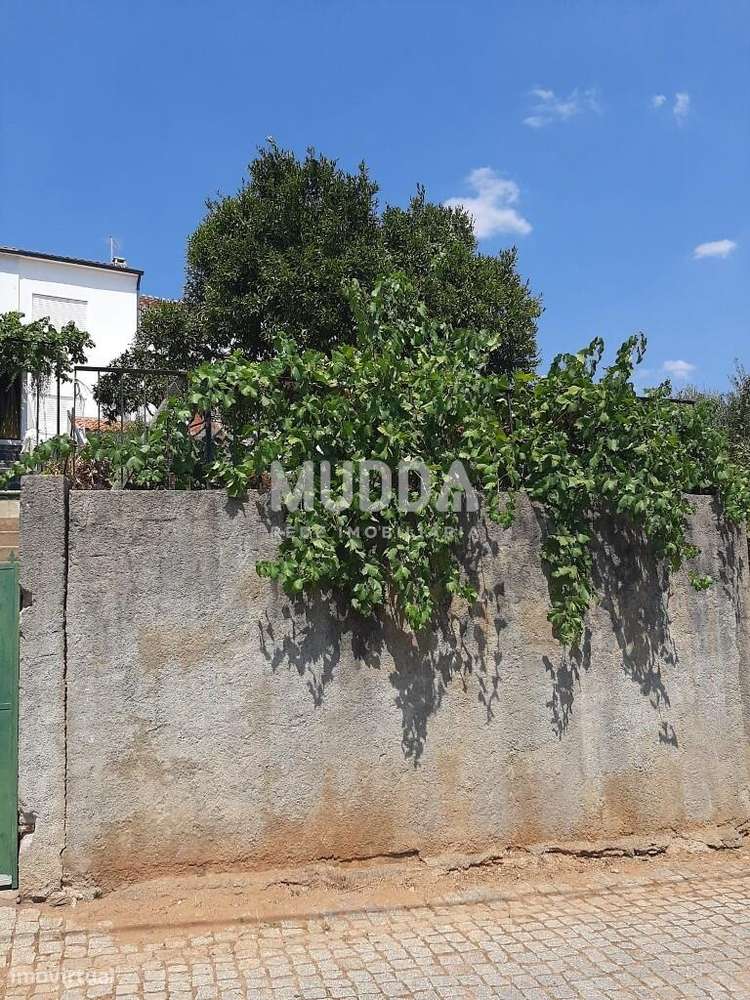 Moradia T2 em Sarzedas-25