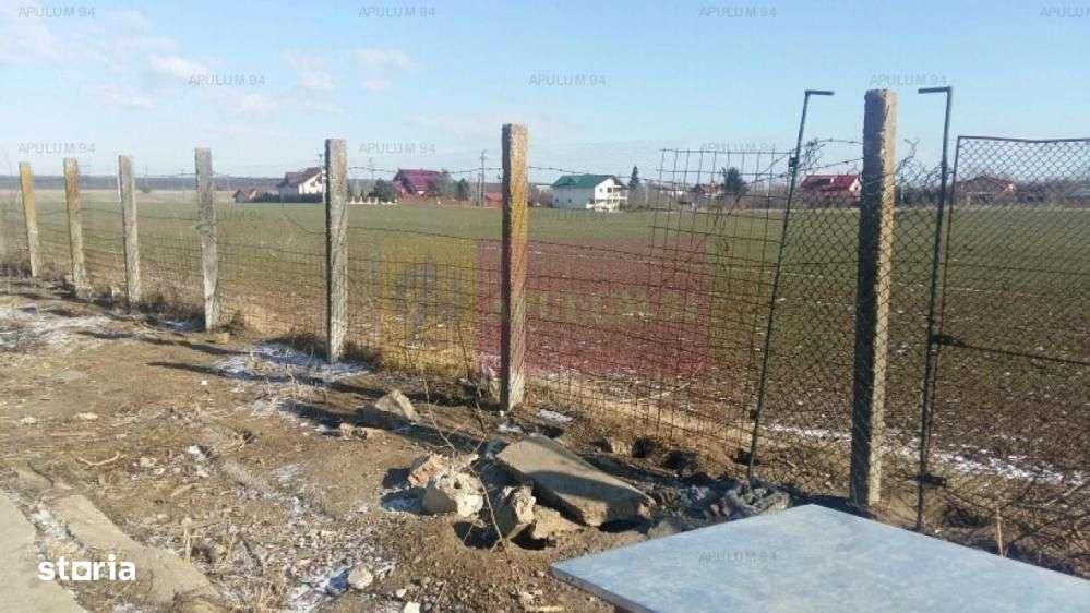 Teren Balotesti- Saftica - Imagine principală: 5/6