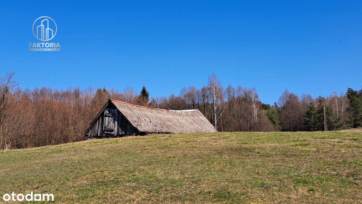 Duża działka w dobrej cenie - Pełny obrazek: 5/8