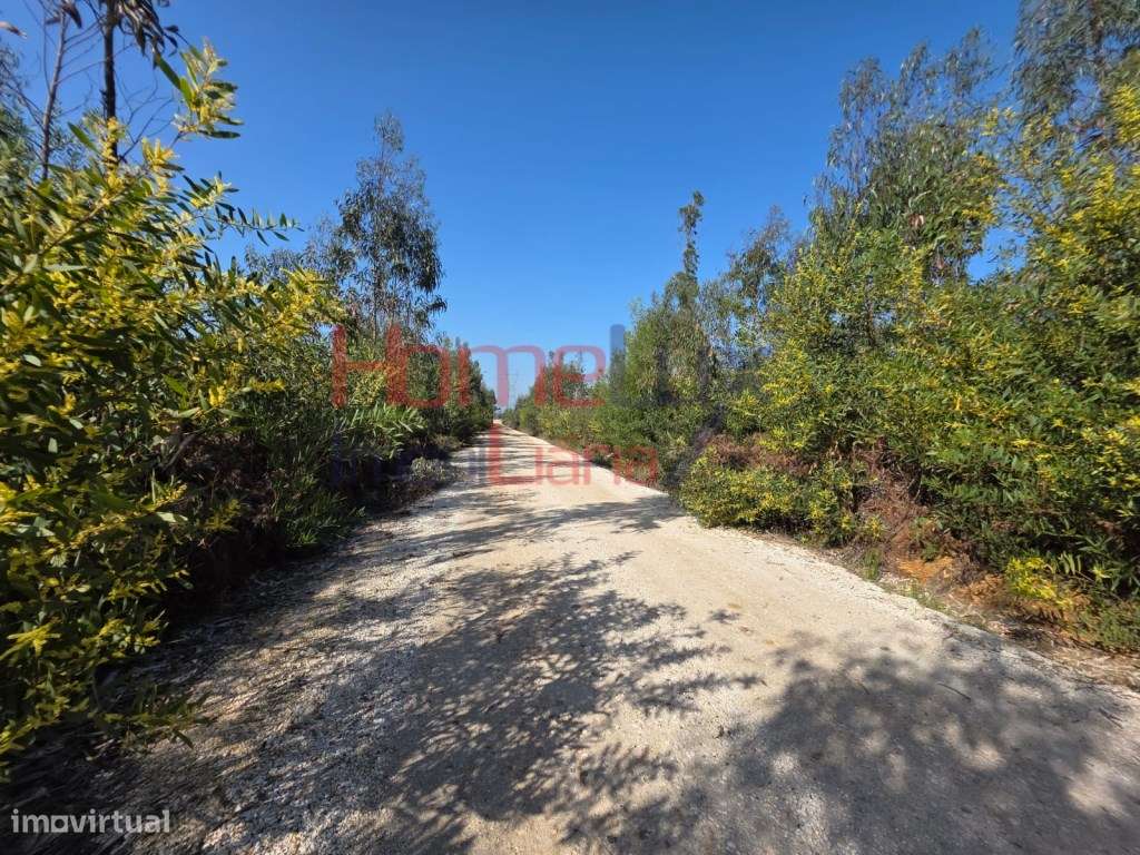 Terreno na zona industrial de Albergaria-a-Velha-6