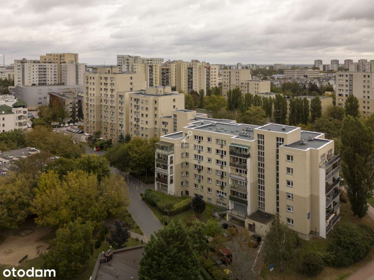 31 m2/Po remoncie/Od zaraz-14