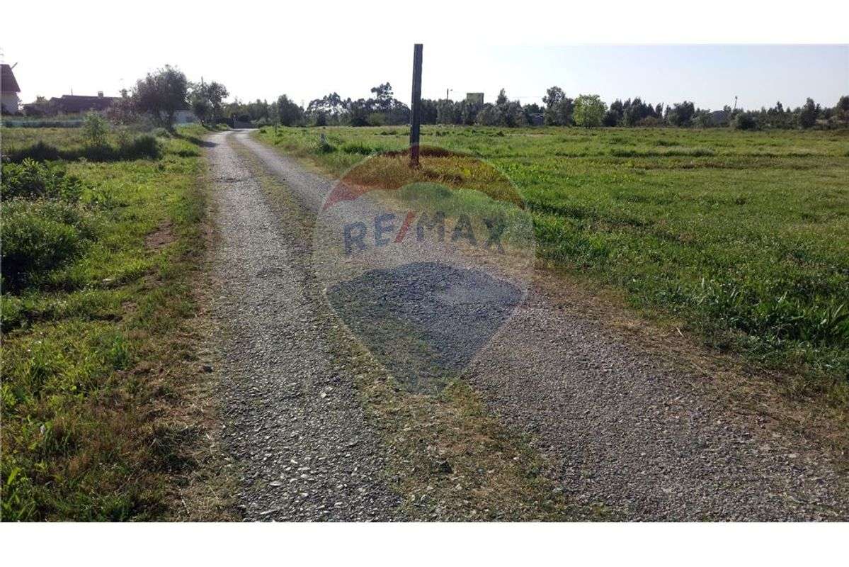 Terreno  para venda - Grande imagem: 5/7