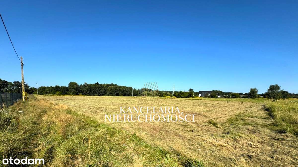 Perełka! Działka budowlana 17 ar w otoczeniu lasu! - Pełny obrazek: 4/8