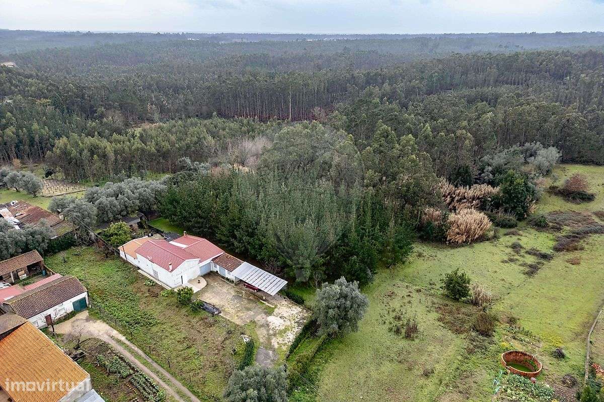 Terreno  para venda - Grande imagem: 3/10