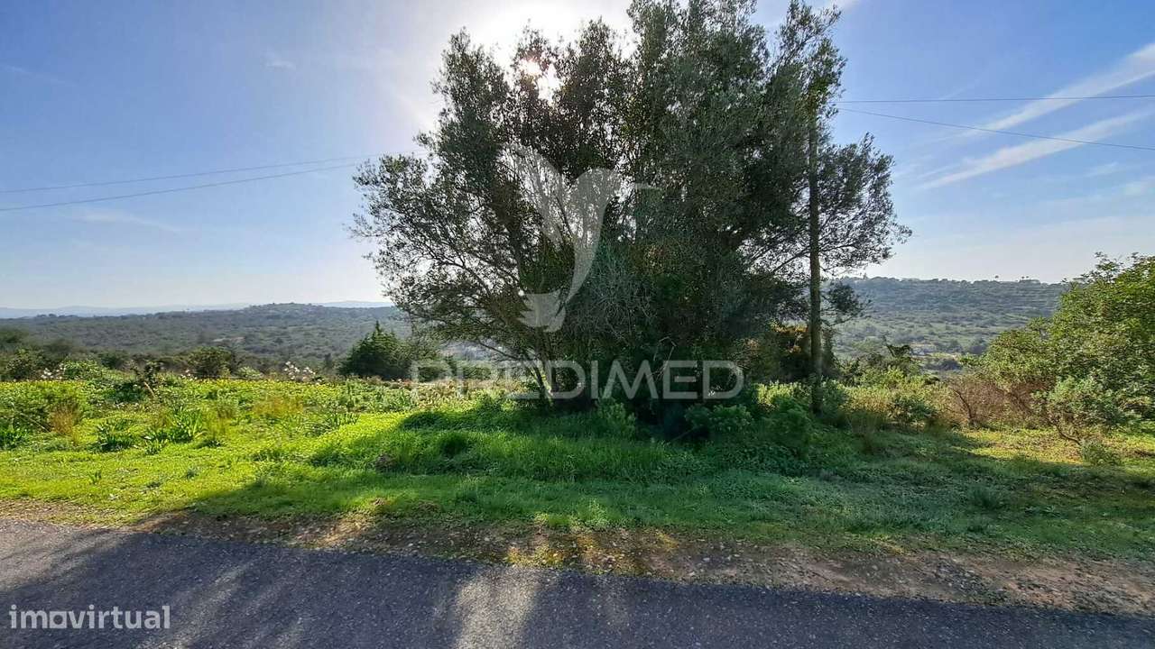 Terreno rústico com 12.200m2 - Messines - Grande imagem: 3/19