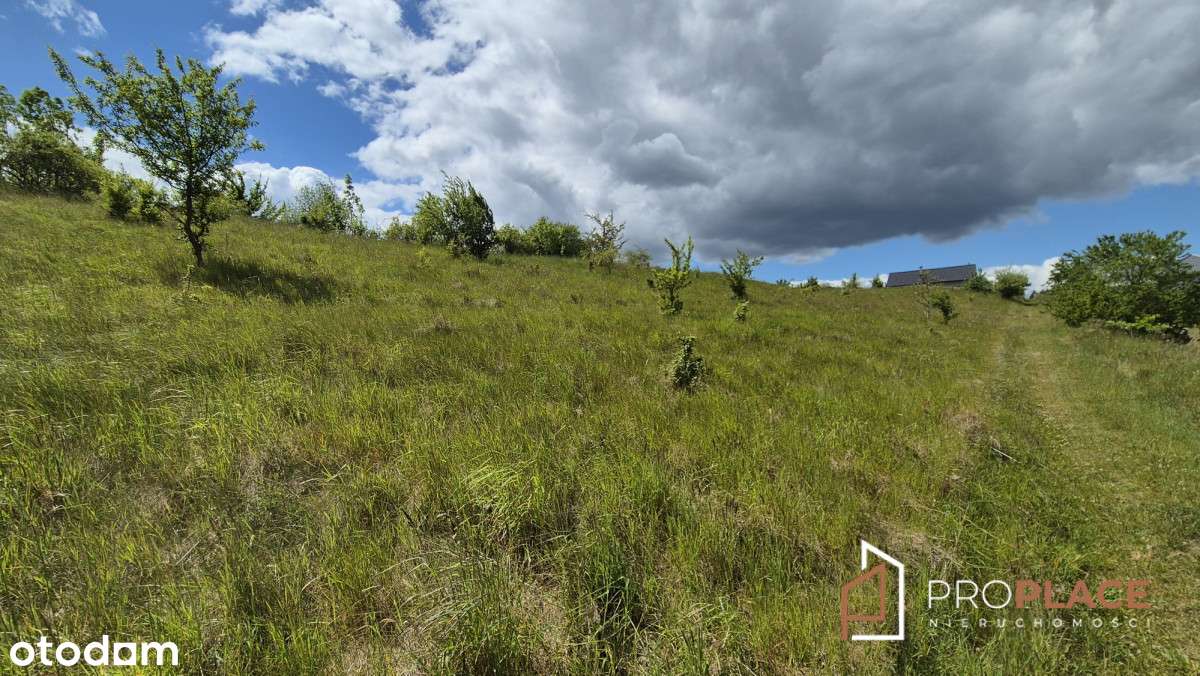 Super cena. Duża działka nad jeziorem Barlineckim - Pełny obrazek: 4/7