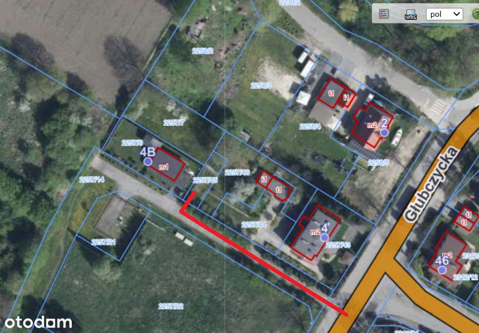 WYJĄTKOWA DZIAŁKA PRZY PLANTACH KOZIELSKICH – CISZA, ZIELEŃ, UZBROJONA - Pełny obrazek: 4/4