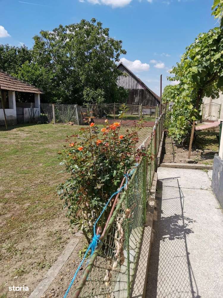 Casă în Craidorolț - Imagine principală: 3/20