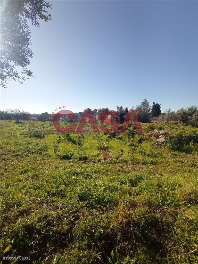 Lote de Terreno T4 Venda em Torres Novas (Santa Maria, Salvador e Sant