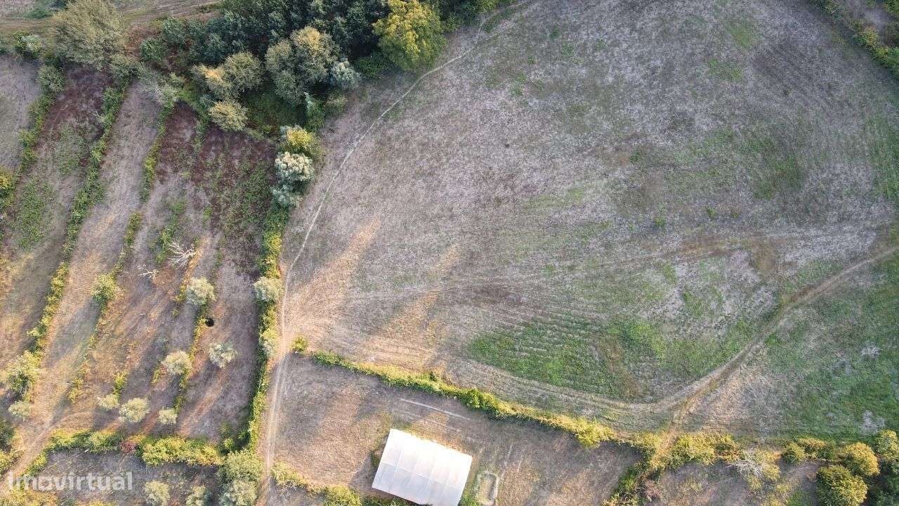 Quinta com Casa Senhorial e Capela-6