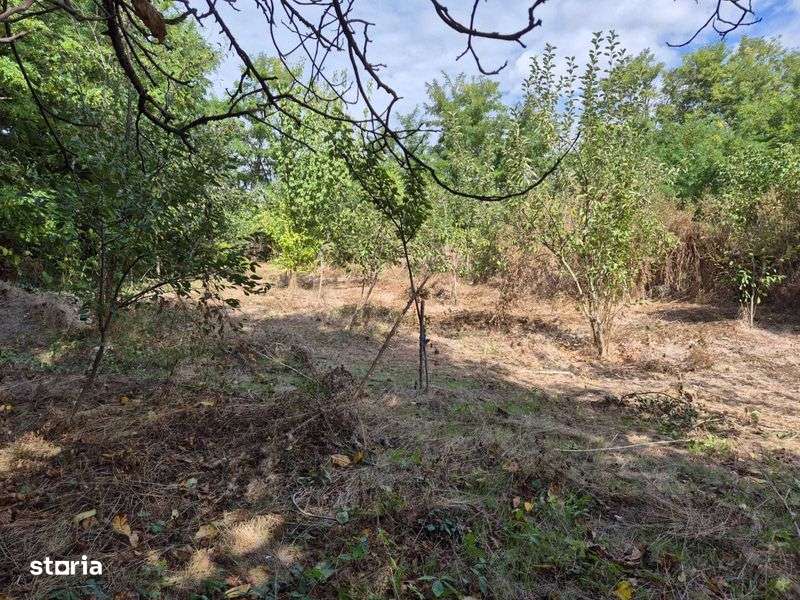 Teren intravilan 1500mp Bitina-Pamanteni Com Movilita Ialomita E85 - Imagine principală: 4/6