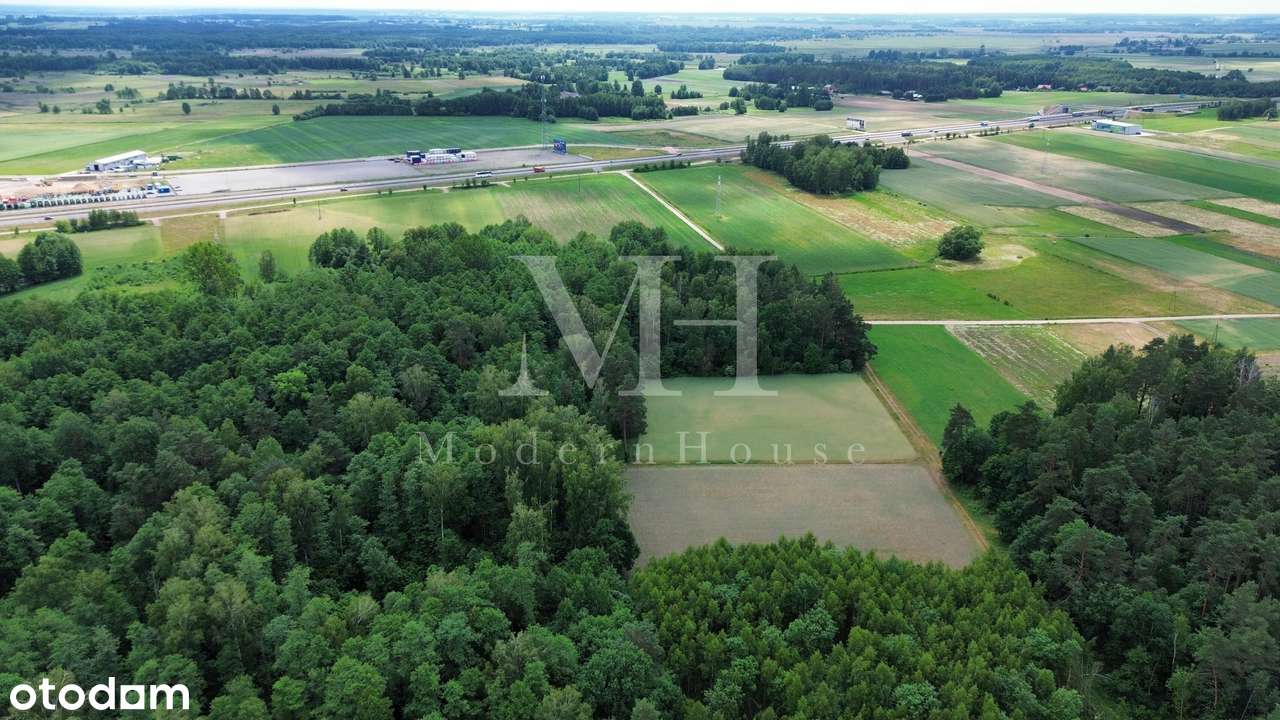 Działka  rolno leśna z warunkami zabudowy obok S8 - Pełny obrazek: 3/6