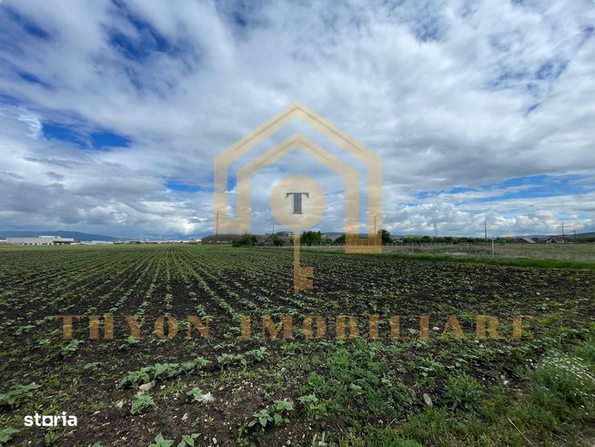 Teren extravilan de vânzare – 4.900 mp, str. Ion Creangă, Sebeș, Alba.-3