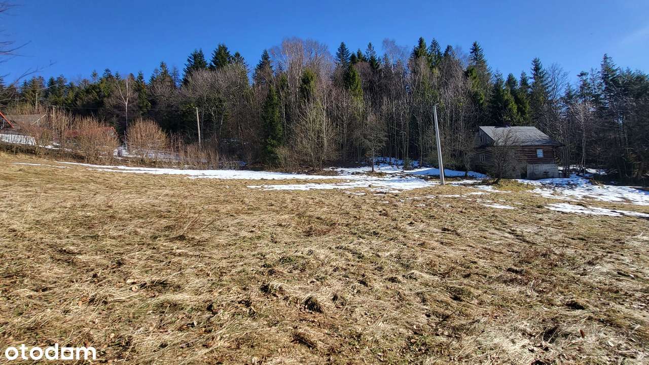 Dwa domy na działce 48 arów w Wiśle-17