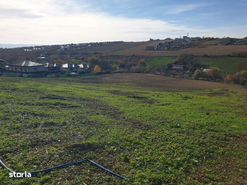 MIROSLAVA - IASI - Loturi teren intravilan - zona Notariat I. Paduraru-5