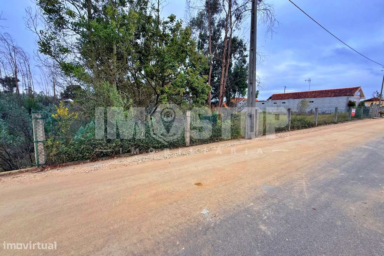 Terreno para construção entre Albergaria-a-Velha e Aveiro - Grande imagem: 4/4