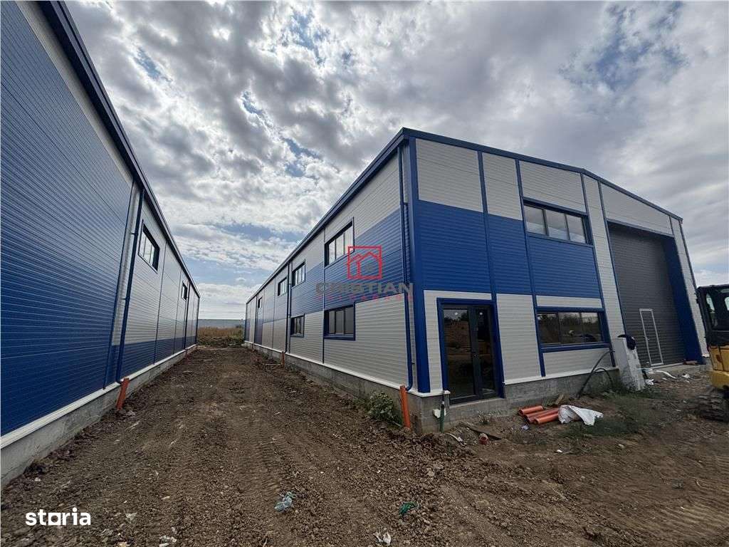 Inchiriere depozithalaspatiu industrial Stefanesti - Centura - A3, ILF - Imagine principală: 3/9