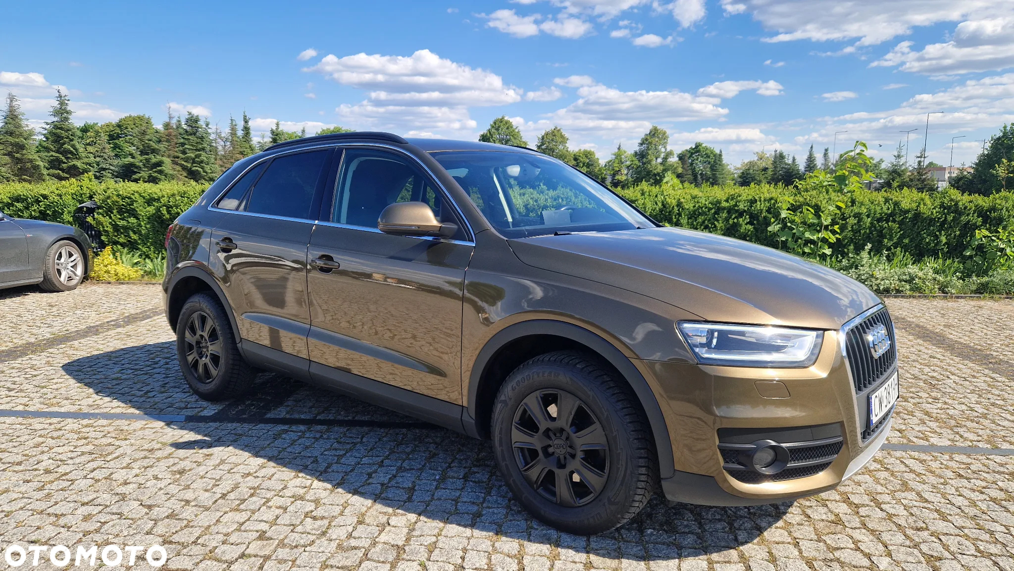 Audi Q3 2.0 TDI Edycja Specjalna - 5