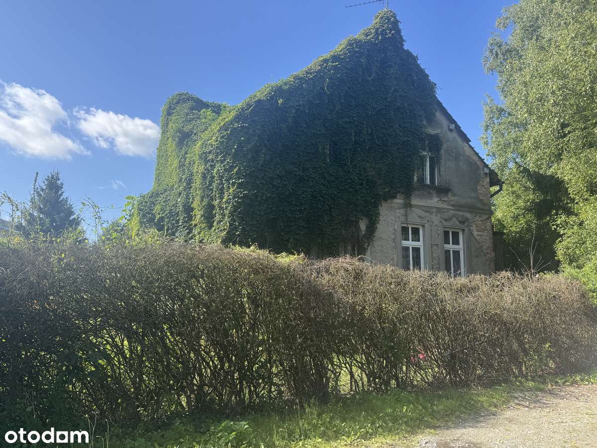 Duże mieszkanie 105 m2 w świetnej lokalizacji- do remontu. - Pełny obrazek: 5/6