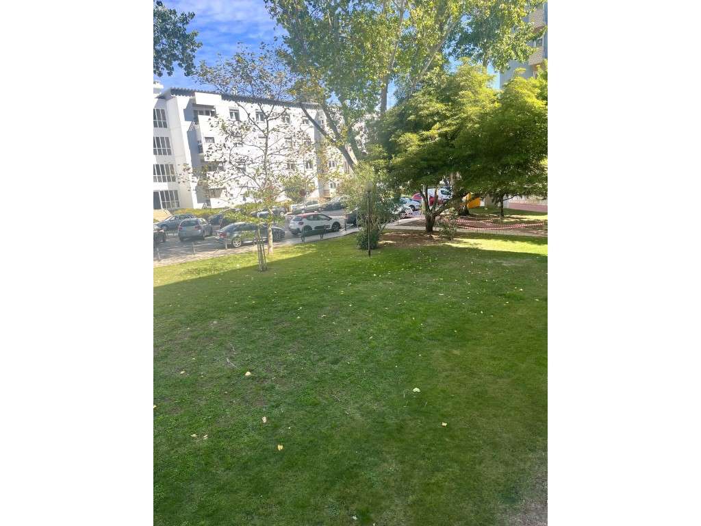 Apartamento T2 Remodelado no Coração de Oeiras - Conforto, Estilo e...-11