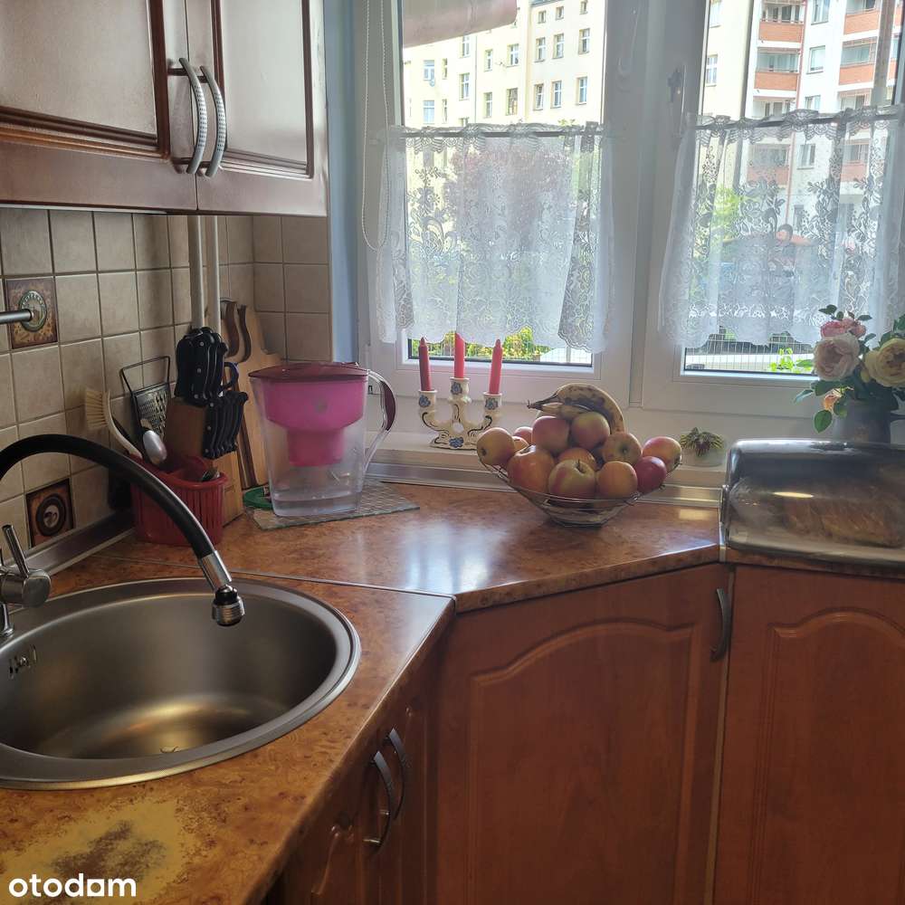 Mieszkanie 2 pokoje, rozkład, plomba, w ok. pl Bema-3