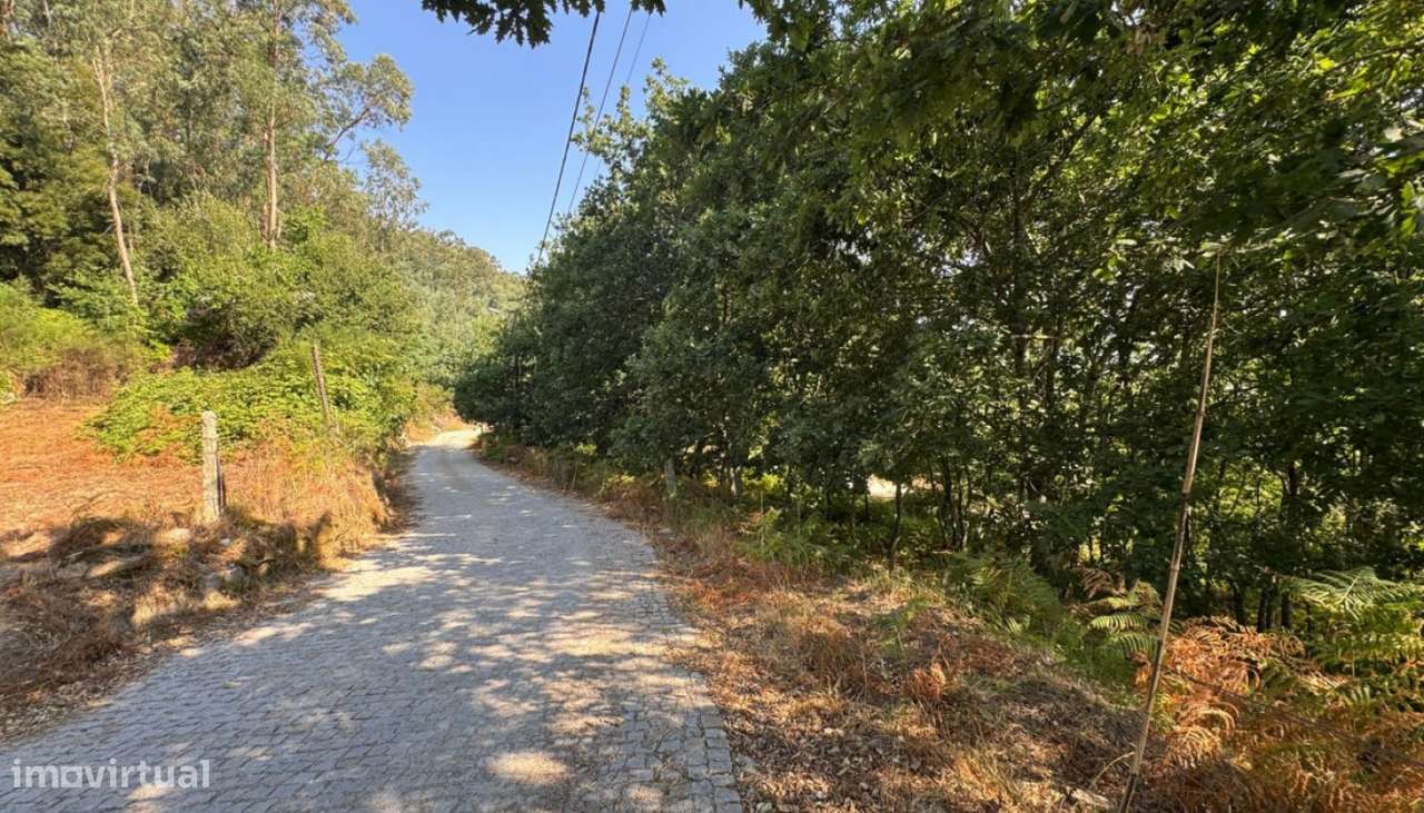 Venda Terreno, Boelhe, Penafiel-17