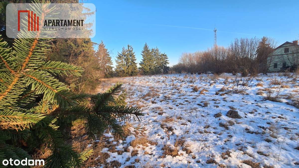 Działka z WZ dla inwestora-3