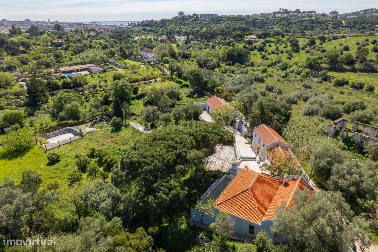 Emblemática Qta de Arronches Junqueiro c/ Piscina e 6025m2-18